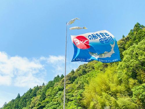 鮎のぼり