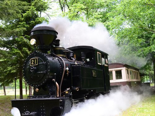 国内唯一の動く森林鉄道蒸気機関車「雨宮21号」