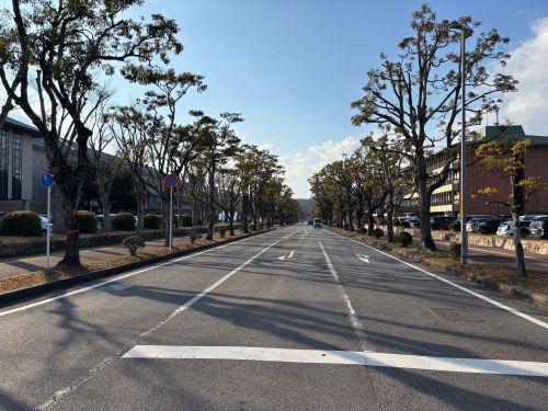 八日市駅前グリーンロード　近江鉄道八日市方面を望む