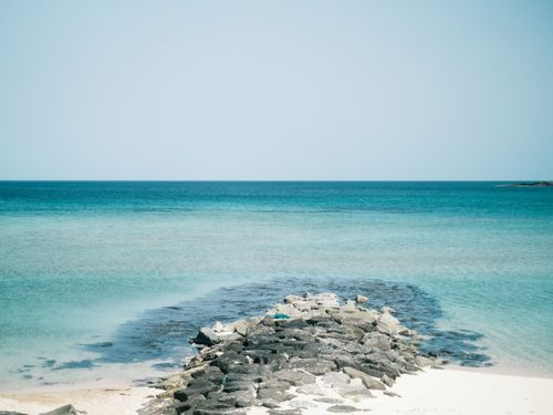 透き通った海、夏は海水浴・冬はサーフィンが楽しめます