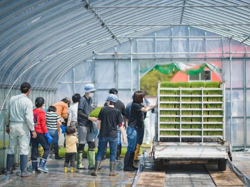 1年中、様々な野菜が栽培されるハウス内。