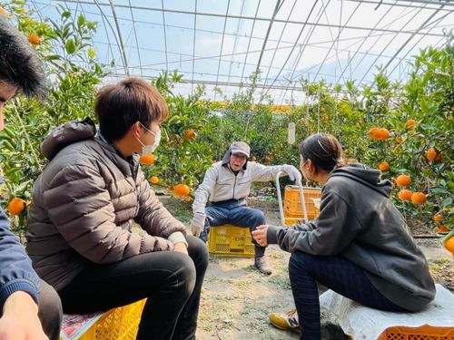 桜島という土地を愛し行動に移す