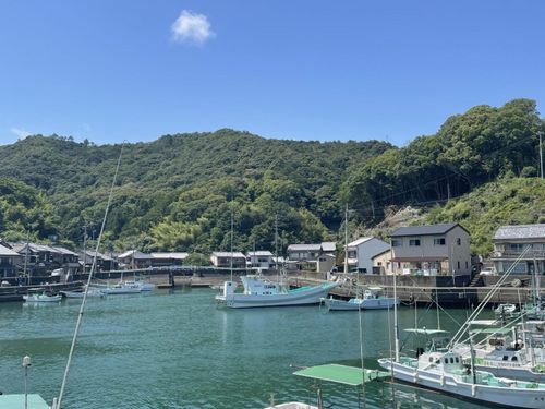 港町に並ぶ家々
