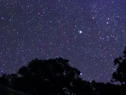 狭野神社の星空