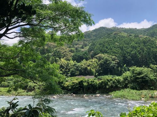 組合の事務所の目の前には安田川が流れています