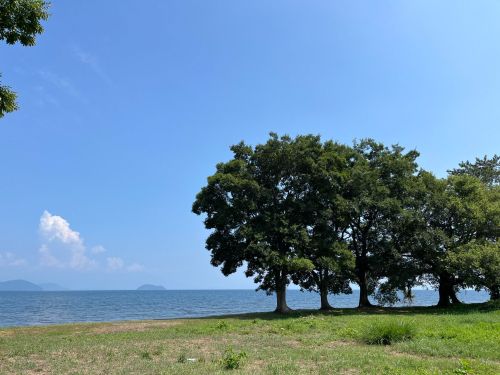 深清水周辺写真①