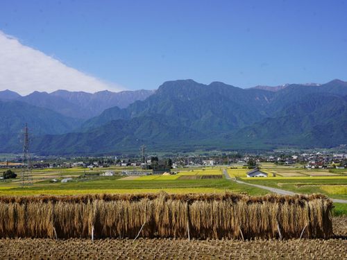 北アルプスを望む池田町の９月の景色