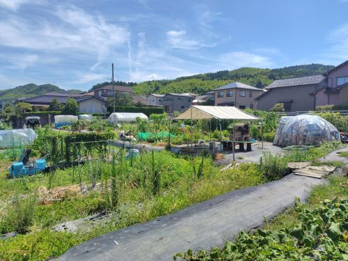 地域住民とボランティアで耕す「みんなの畑」