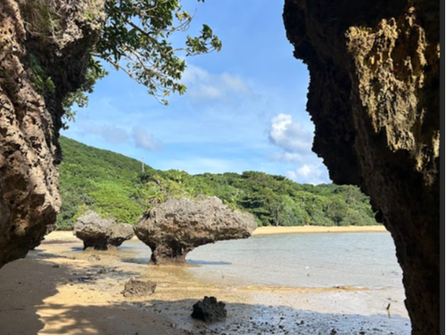 石垣の日常風景