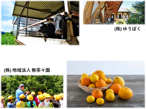 第3回（11月訪問）の企業