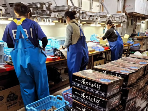 出荷作業の様子