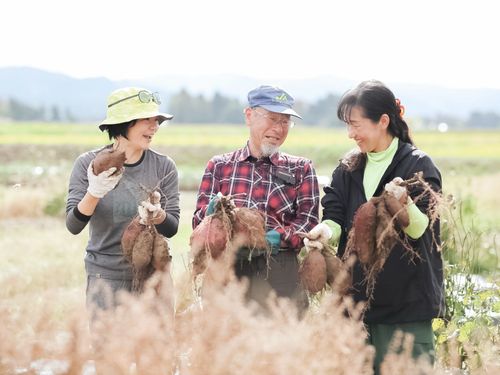 収穫体験の現場に立ち会い、新しいコンテンツを考えたり