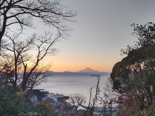 移住前に時々登っていた山も今では散歩道に
