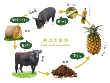 循環型農業概念図