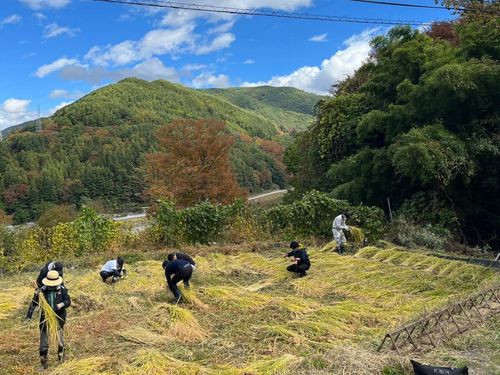 昨年の収穫体験も貴重な体験と喜んでいただきました。