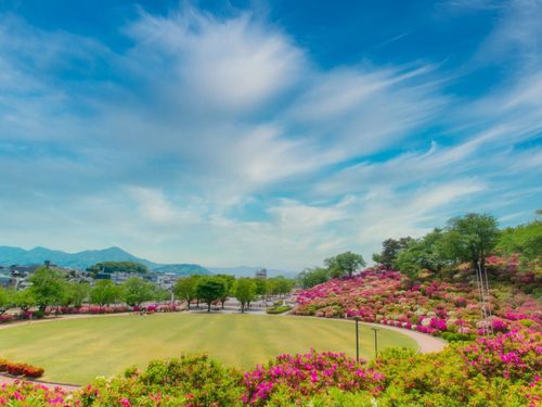 清光さんの出身の鯖江市の西山公園