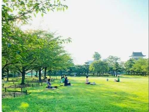 玉藻公園での朝ヨガ