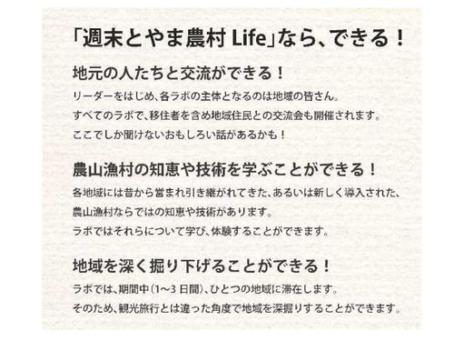 ここがオススメ！