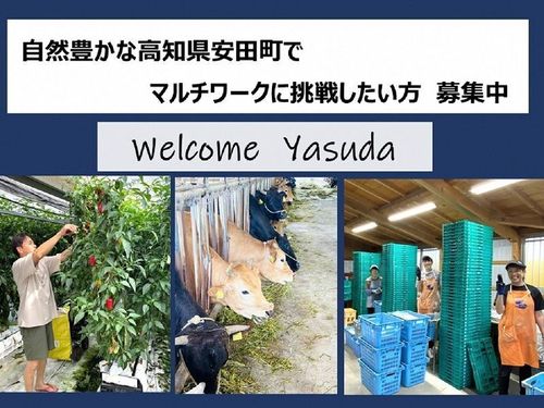 マルチワークに興味のある方、お待ちしています！