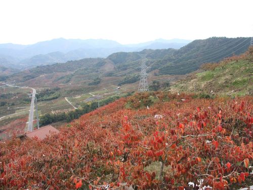 九度山町の風景📸