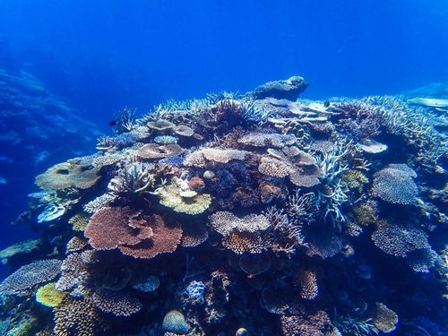どこからでも5分走れば海！お仕事終わりにも行けちゃいます◎