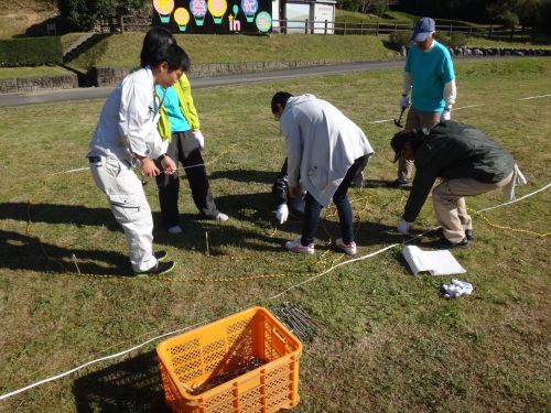 飾り付け作業にあたり、知識は必要ありません。