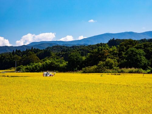 田村市の秋の風景