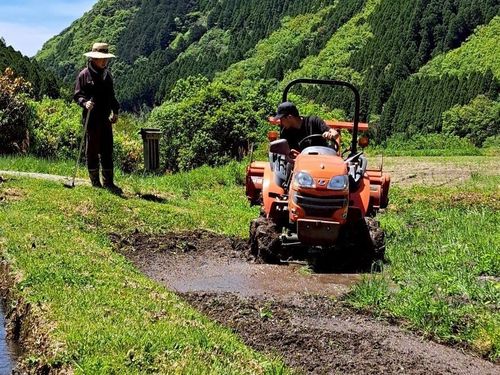 地元の方に田んぼの「代かき」を教わっている様子
