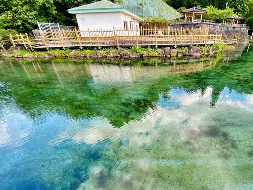 参加市町村：湧水町（丸池湧水）