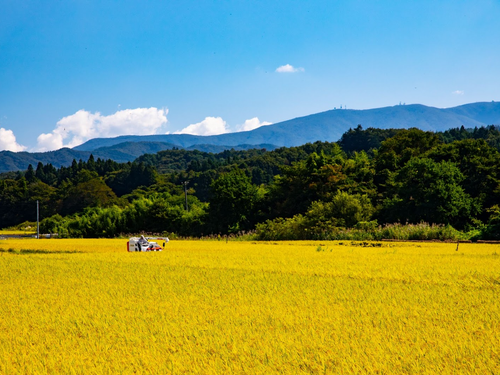 秋の田村市