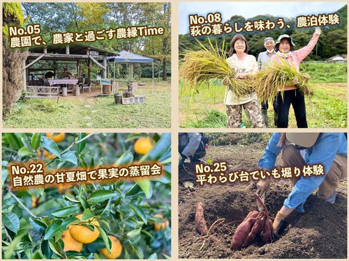 収穫・交流・語らいなど、スマウトでも人気の農業や農泊体験も充実！