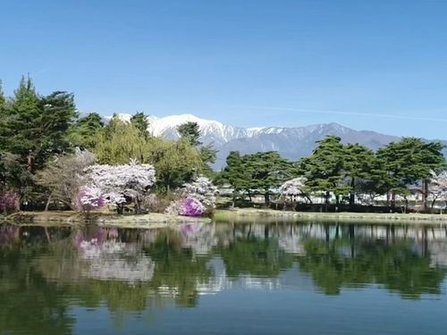 春の駒ヶ根