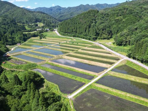 甲津原の棚田風景