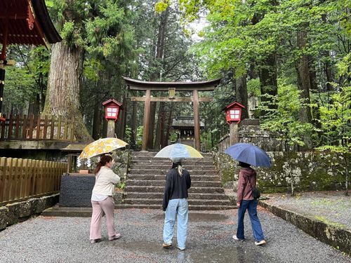まち案内で「ふじよしだ暮らし」を発見