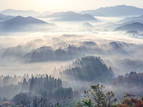 大江山の雲海
