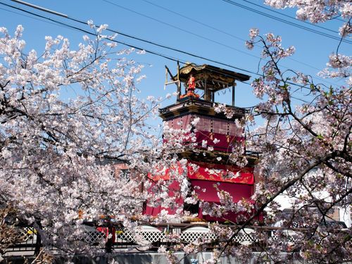 満開の桜の中で堂々とたたずむ山車の姿
