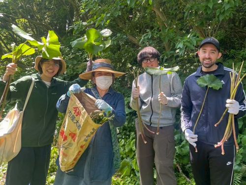 地域交流企画での「つわ」の収穫体験の様子。このあと皆で料理していただきました！