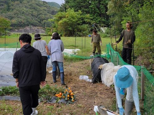 山に囲まれた畑です