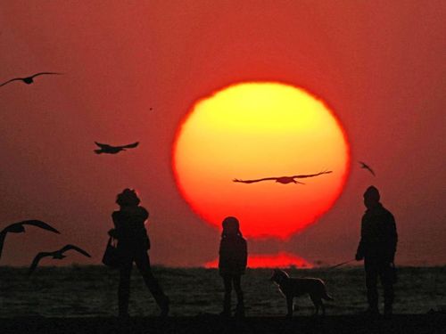 だるま夕日