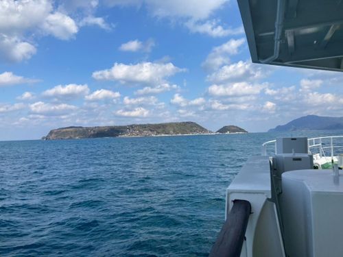 船から見える大島