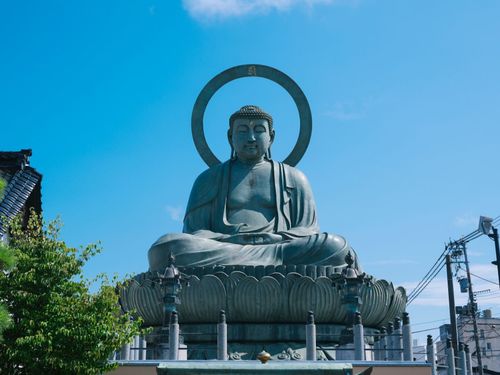 amida coffeeは高岡大仏のすぐ横にあります！