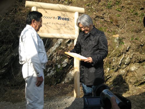 故・坂本龍一氏が代表を務めていた『more Trees』の森