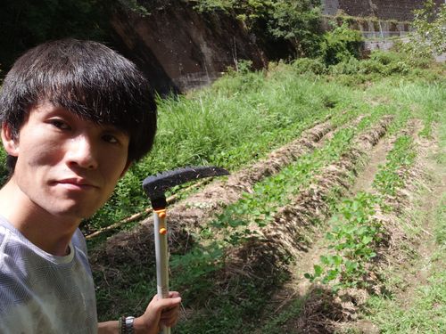 畑づくり。肥料や農薬を使わず、手作業のみでやり切ったのは大きな成功体験に。