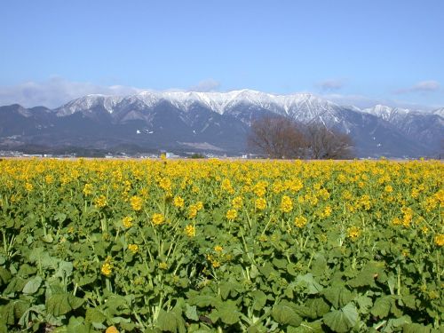 湖岸（第一なぎさ公園）