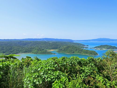 大宜味村