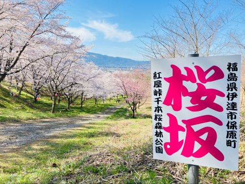 紅屋峠千本桜森林公園
