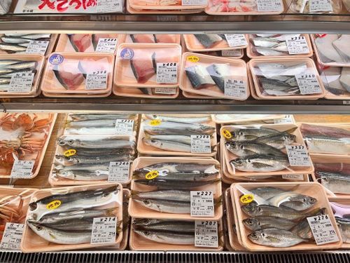 地元スーパーに並ぶ「地物」の魚（舞鶴市）