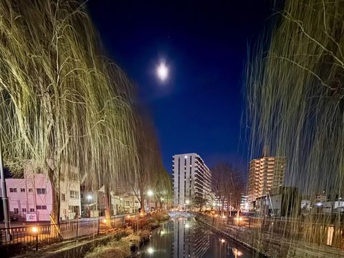 都会すぎず、田舎すぎない自由な暮らし。