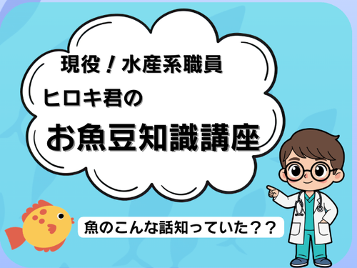 現役、水産系職員のお魚講座！