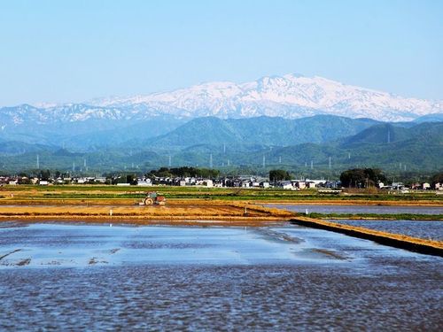 山、川、田んぼの織りなす雄大な自然が、美味しいお米を育む。